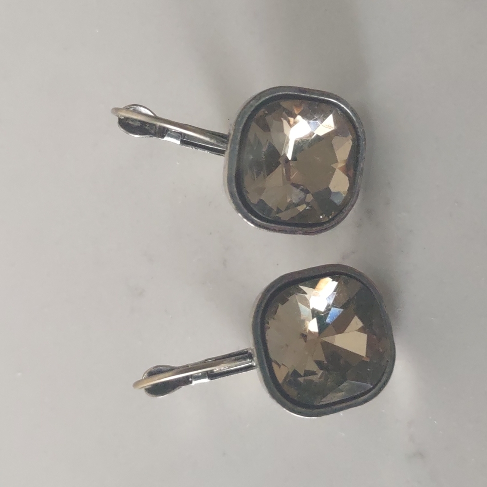 Light weight earrings